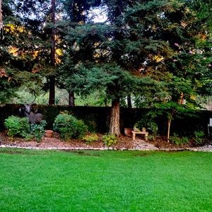 Meet your Posher, Deann